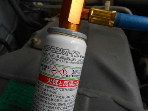 DSCN0461.JPG