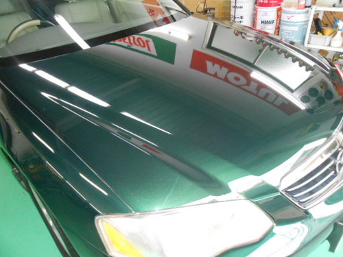 DSCN0516.JPG